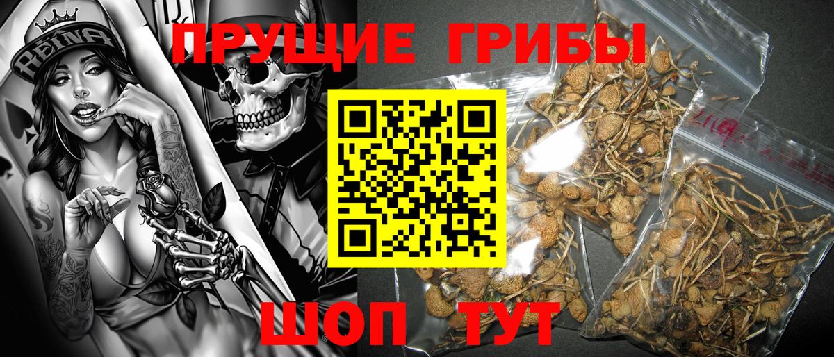 Псилоцибиновые грибы мухоморы Одинцово