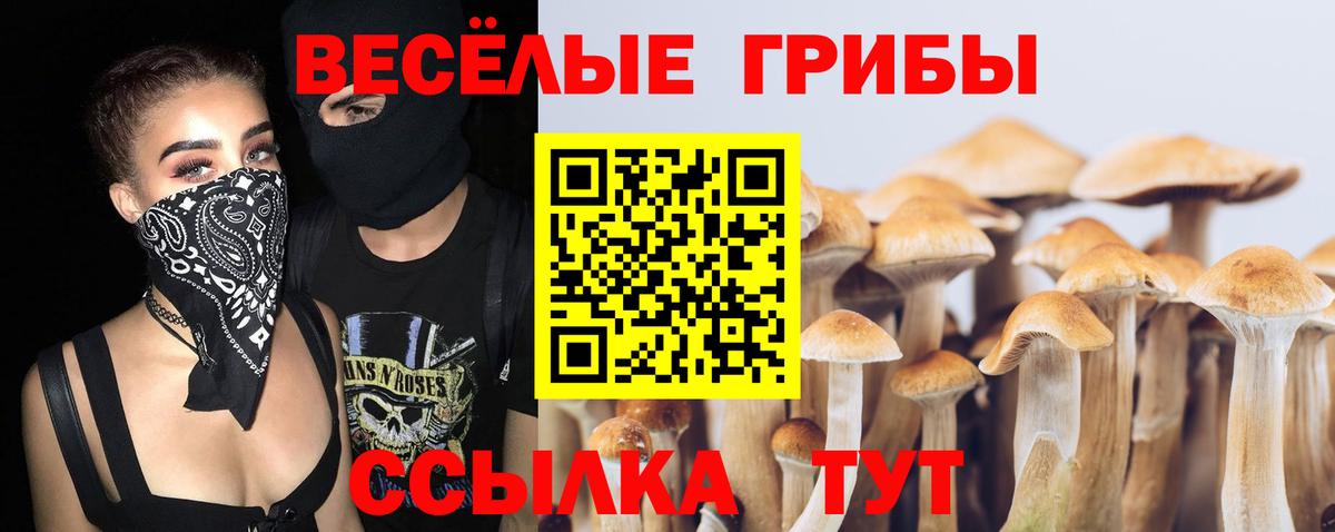 Псилоцибиновые грибы прущие грибы  Вход с VPN  Одинцово 